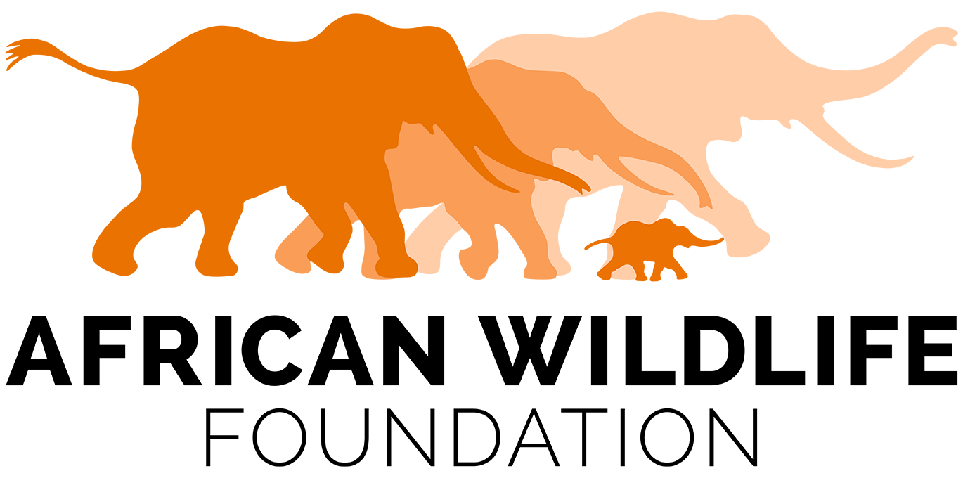 African Wildlife Foundation