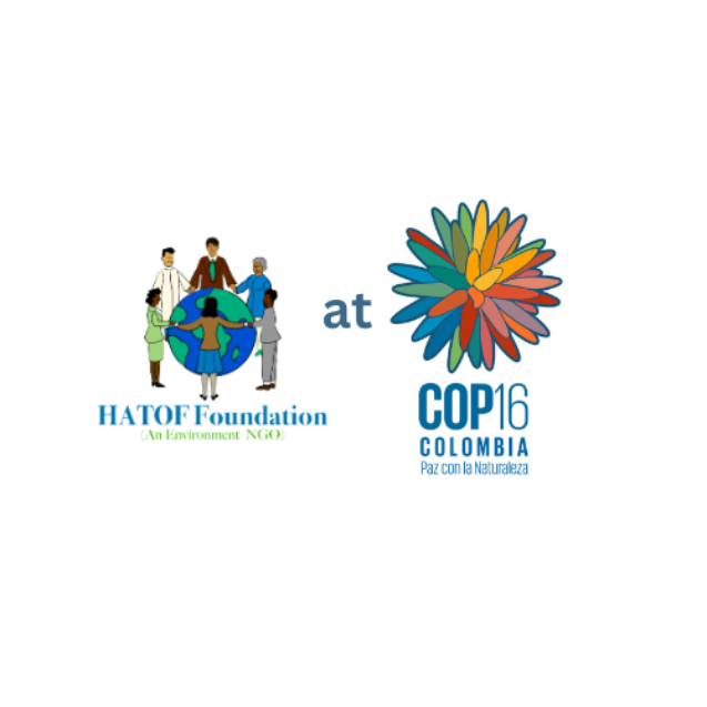 Highlights of the First Week of the Sixteenth Conference of Parties (COP16) to the Convention on Biological Diversity Negotiations in Cali, Colombia.